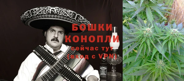 ПСИЛОЦИБИНОВЫЕ ГРИБЫ Осинники